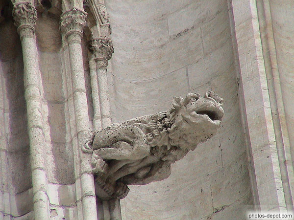 photo de Cathedrale St Michel et St Gudule, gargouille