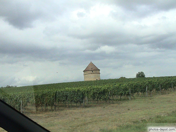 photo de moulin  dans les vignes