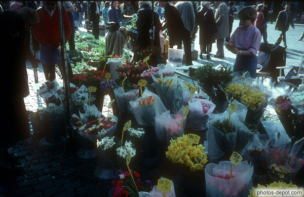 photo de marché aux fleurs
