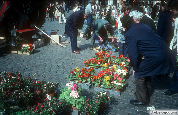 photo de marché aux fleurs