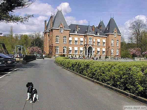 photo de chien sur la route du chateau