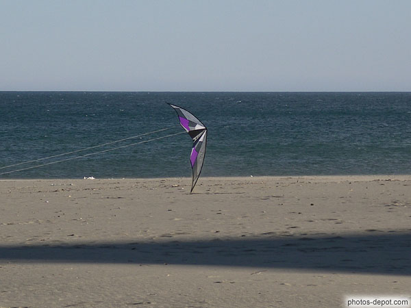 photo de Cerf volant sur la plage