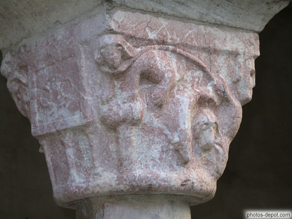 photo de chiens tenus en laisse sculptés sur chapiteau de colonne de marbre rose
