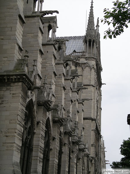photo de multiples gargouilles de la Cathédrale Notre Dame