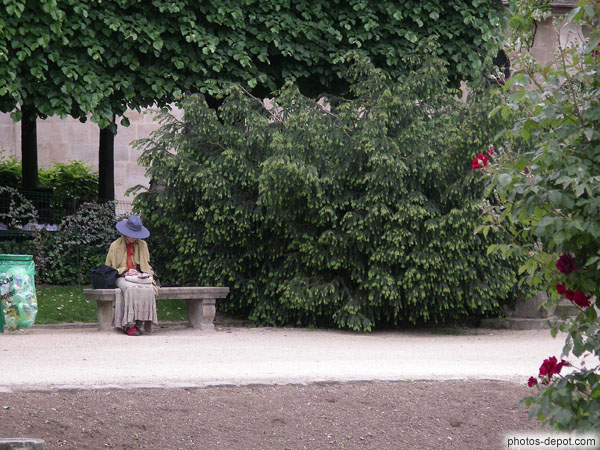 photo de femme au chapeau dans le parc
