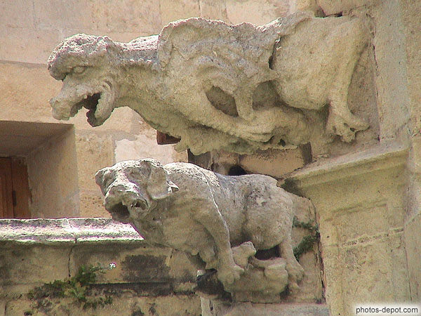 photo de Gargouilles de chiens et dragons, cloître, cathédrale St Just