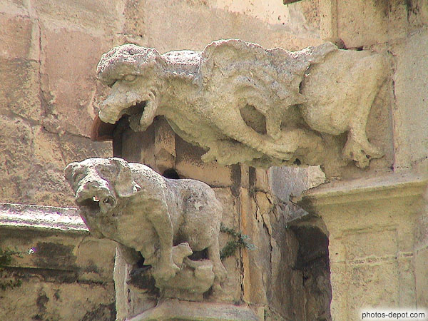 photo de Gargouilles de chien et dragon, cloitre, cathédrale St Just