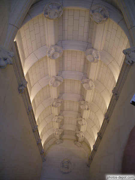 photo de plafond rampant renaissance style italien de l'escalier