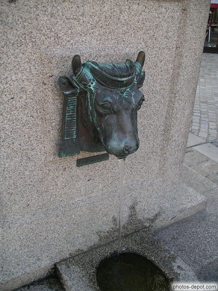 photo de fontaine tête de taureau