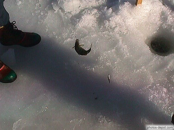 photo de poisson peché sous la glace