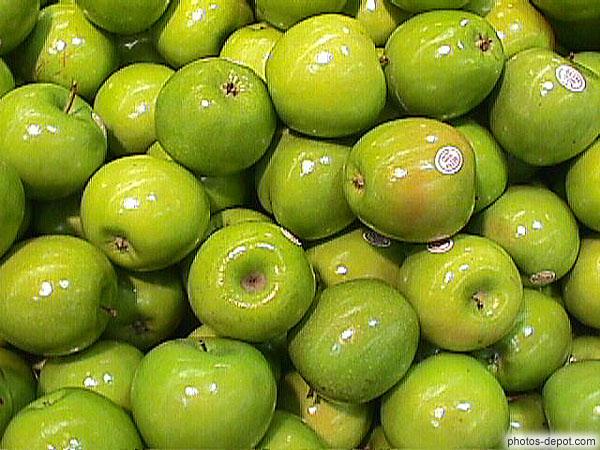 photo de pommes vertes