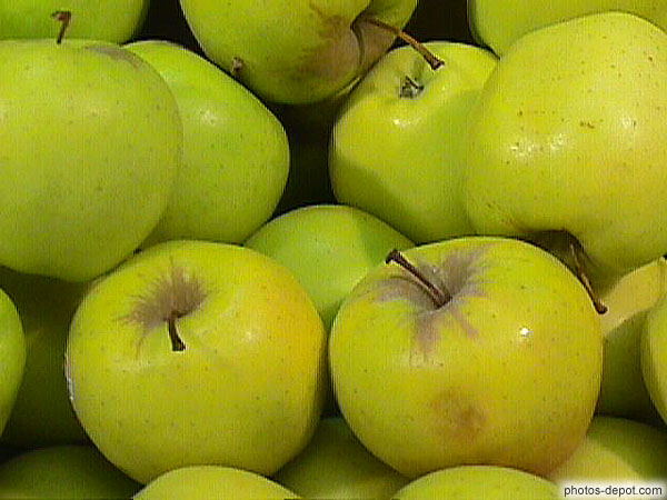 photo de pommes
