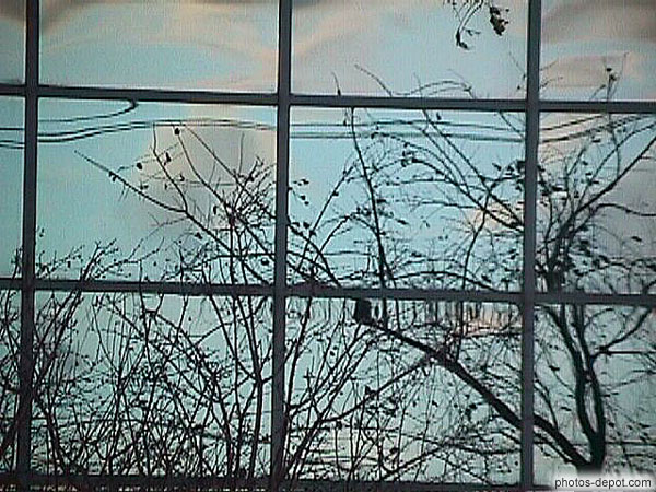 photo de vitres gratte-ciel