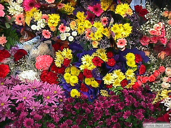 photo de bouquets de fleurs multicolores