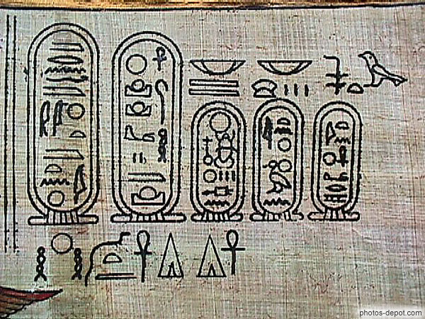 photo de détail papyrus egyptien
