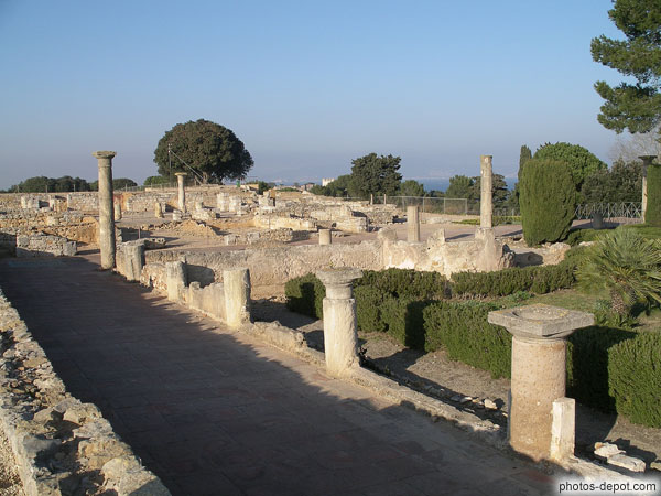 photo de Domus (maisons) romaines avec atrium et péristile