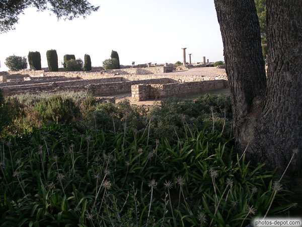 photo de cité romaine