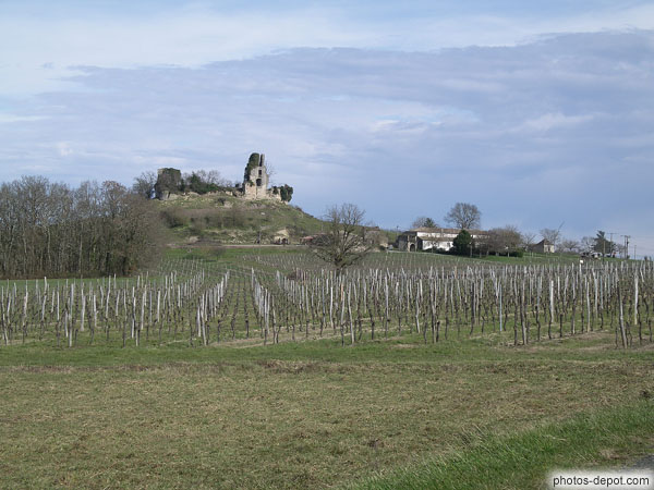 photo de Chateau de Gurson derrière les vignes