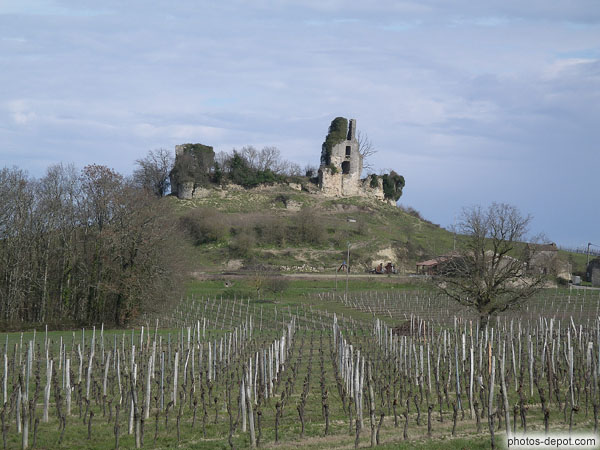 photo de ruines du château de Gurson