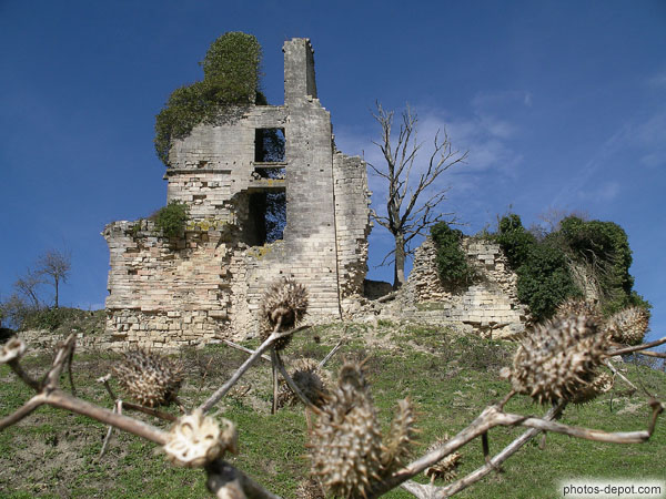 photo de Chateau de Gurson