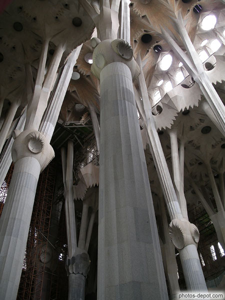 photo d'impressionnantes colonnes soutenant la voute de la cathédrale de Gaudi