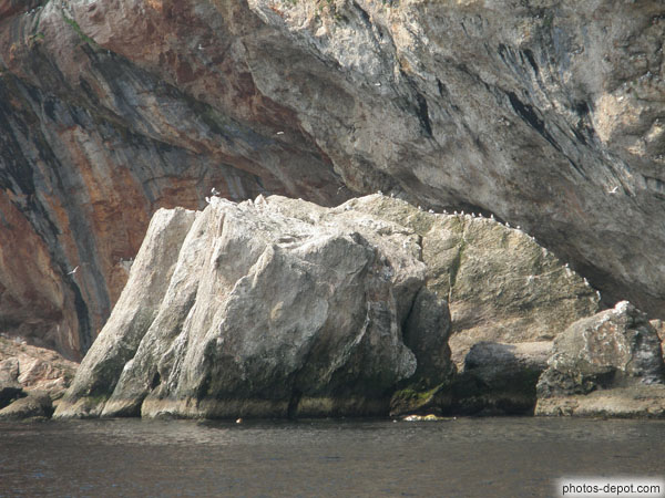 photo de rocher et falaises aux oiseaux de mer