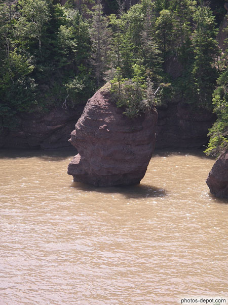 photo de rocher de Fundy à marée haute