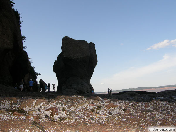 photo de balanes sur les rochers devant la masses des rochers pots de fleur