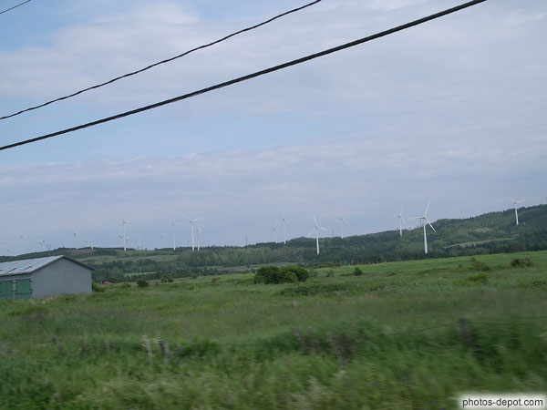 photo de champs d'éoliennes