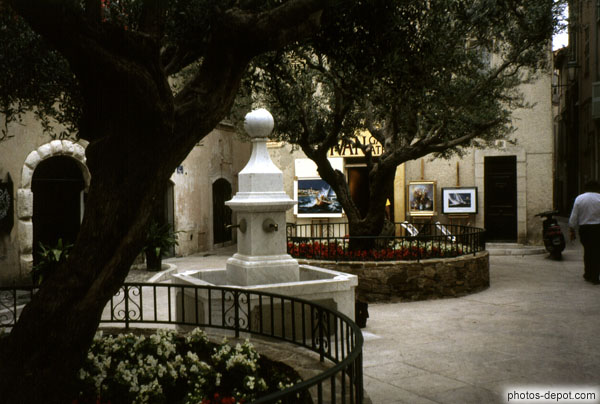 photo de fontaine entre les oliviers