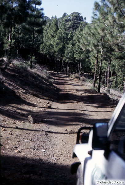 photo de jeep dans chemin forestier