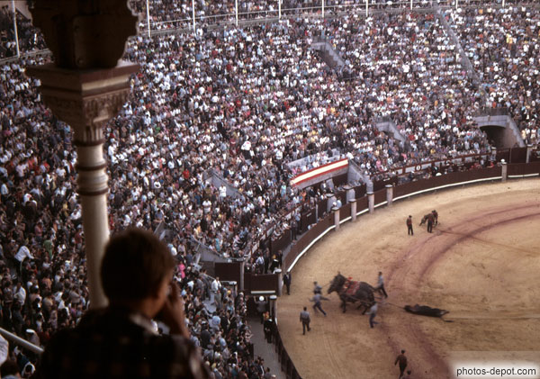 photo de chevaux tirant le taureau tué à la corrida dans les arènes