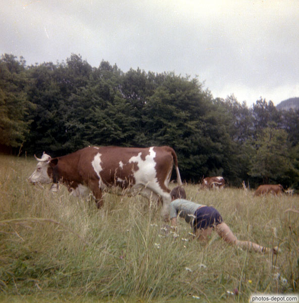 photo de chasse au lait