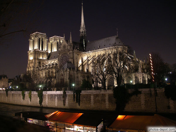 photo de Chevet et transept Cathédrale éclairée la nuit