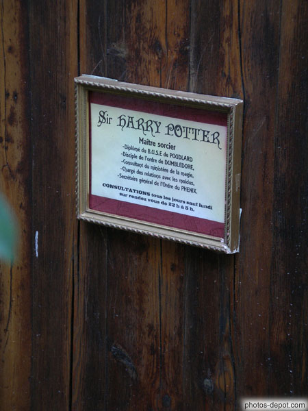 photo de Sir Harry Potter, maÃ®tre sorcier, diplÃ´mÃ© de Poudlard, disciple de l'ordre de Dumbledore...