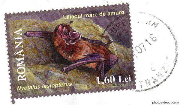 photo de timbre Romania Liliacul mare de amurg, Nyctalus lasiopterus 1,60 Lei