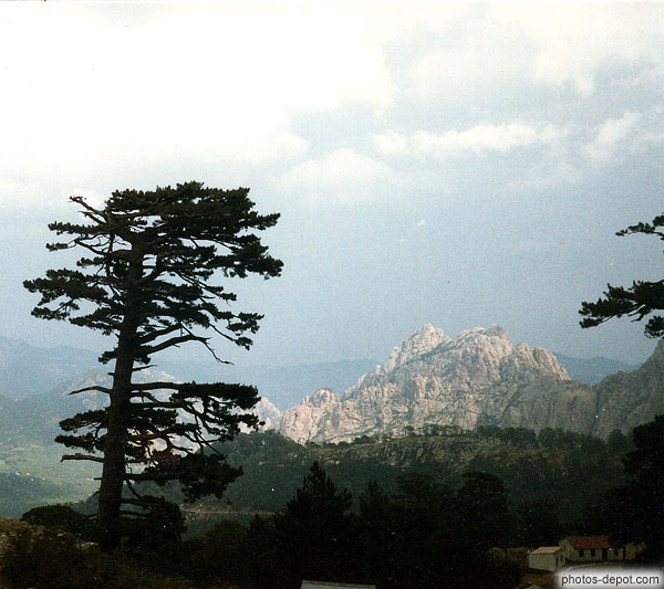 photo d'Arbre devants les rochers de Spelunca