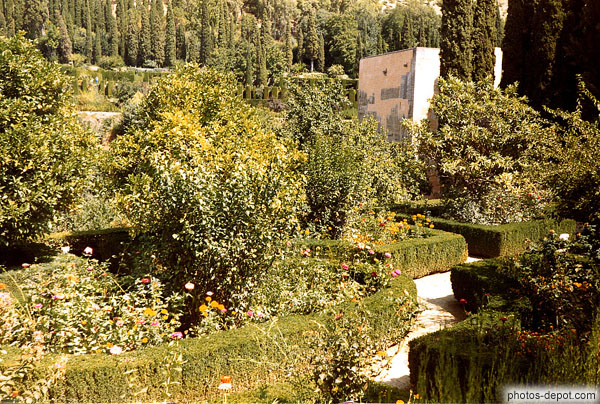 photo de roses et buis taillés dans l'Alhambra