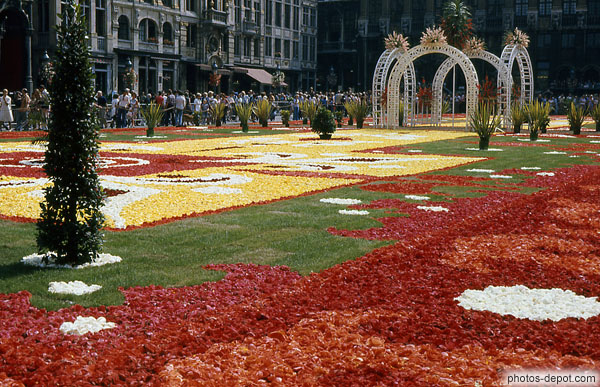 photo de tapis de fleurs