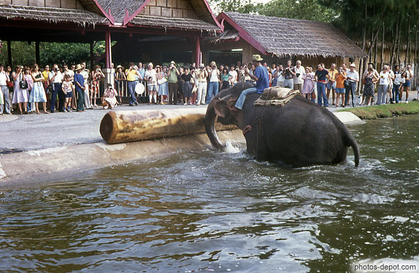 photo de cornac sur son éléphant poussant un énorme tronc d'arbre hors de l'eau