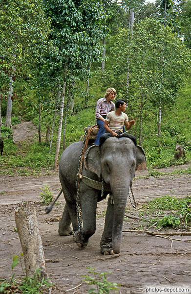 photo de promenade à dos d'éléphant enchainé