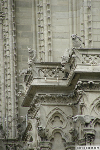 photo de Gargouilles de Notre Dame de Paris