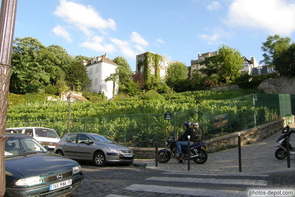 photo d'Unique vigne de Montmartre