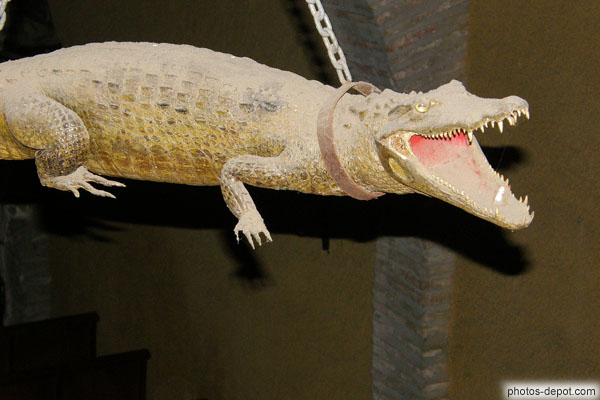 photo de Crocodile ex-voto