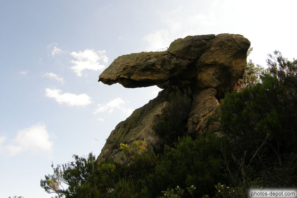 photo de pierre en forme de tête d'aigle