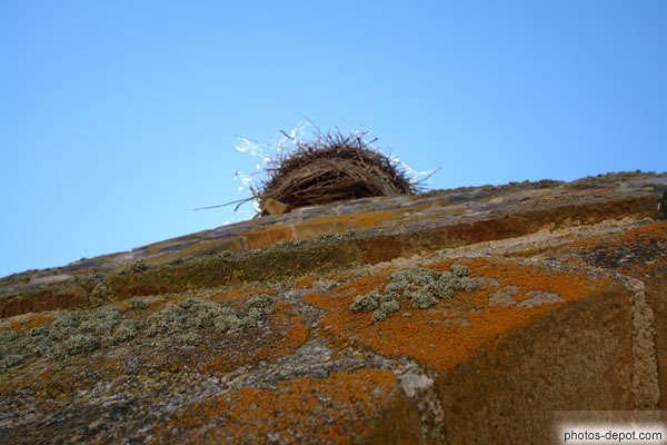 photo de nid sur le clocher