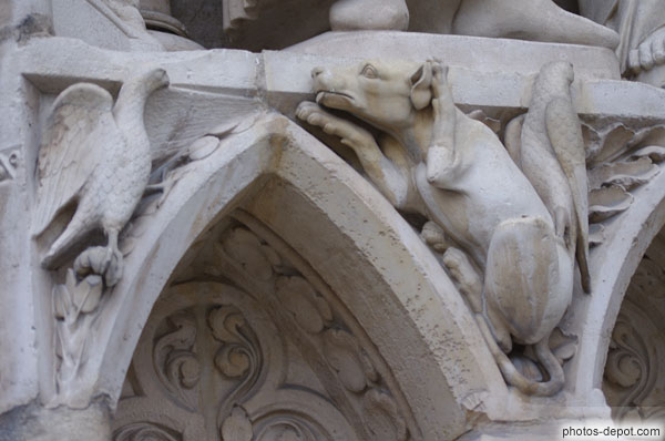 photo de chien se grattant l'oreille entouré d'oiseaux  sous piedroit du portail de la Vierge