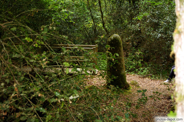 photo de Borne Milliaire de Pont à Voleurs, romaine, tous les mille pas, granit au milieu d'une forêt touffue6
