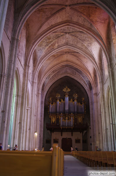 photo de Nef et orgue de la Cathédrale St Pierre