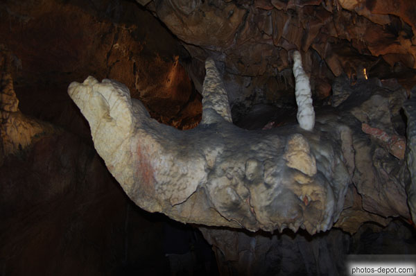 photo de machoire aux stalagmites